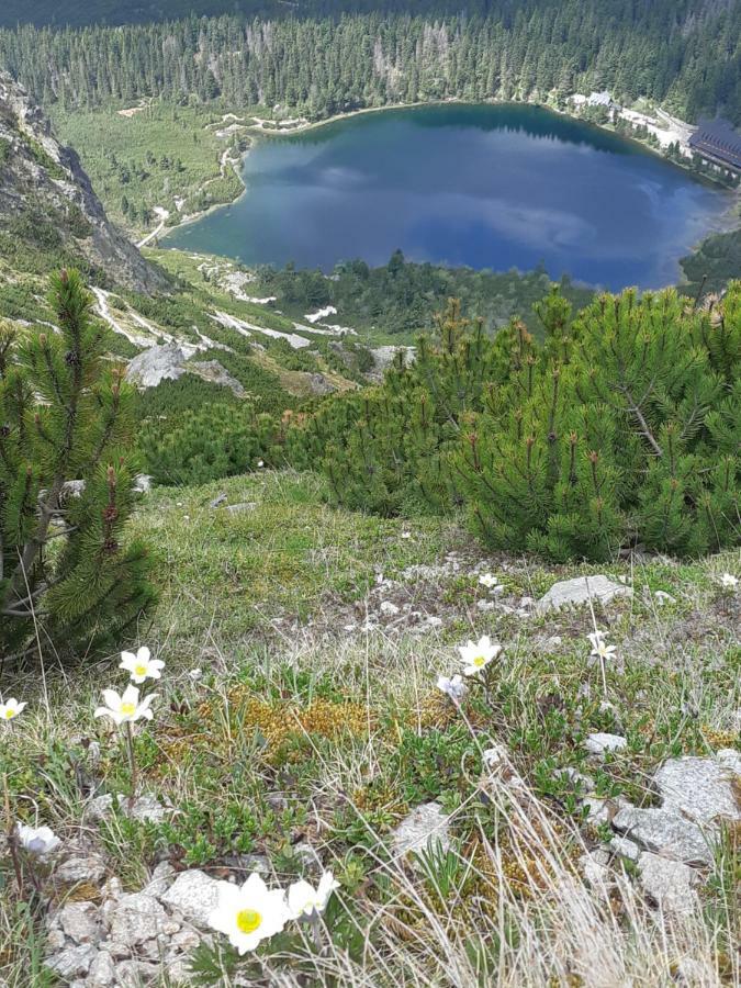 Rodinny Privatny Apartman A309 V Uplnom Centre Stareho Smokovca - Ticha Izba S Parkovanim Vysoké Tatry المظهر الخارجي الصورة